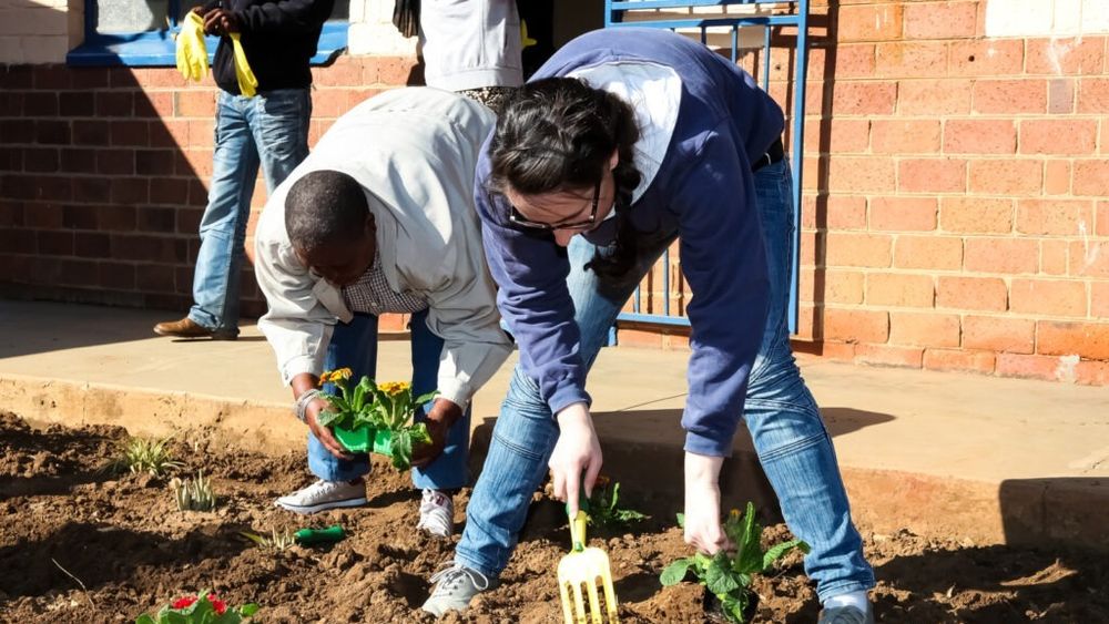 Zeci de persoane au fost plătite cu tichete de activităţi casnice eliberate de AJOFM Buzău/Valoarea unui tichet este de 15 lei/Plățile s-au făcut pentru servicii diferite, de la hrănirea animalelor la activități de grădinărit