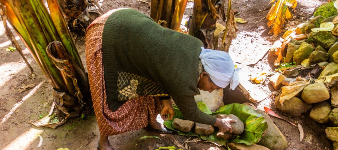 „Banana pe steroizi” care rezistă la secetă și boli și ar putea hrăni milioane de oameni. De ce „arborele împotriva foametei” este cultivat aproape exclusiv într-o singură țară