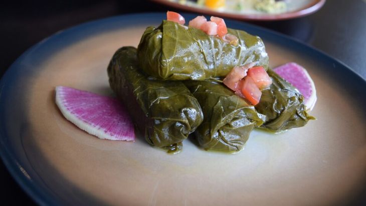 VIDEO / Cum arată sarmalele în Iran: cu iaurt, usturoi, verdețuri și uneori… stafide. Chef Mehrzad Moghazehi: „ Unele se fac cu ingrediente dulci”