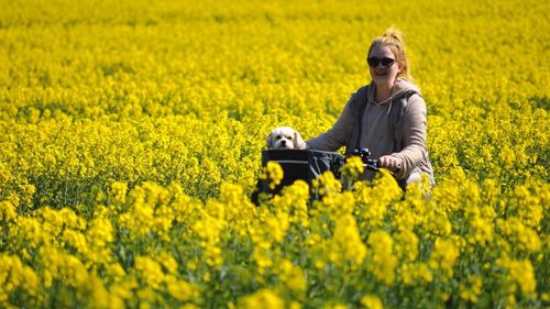 Bayer își propune să lanseze primul bioinsecticid pentru culturile arabile