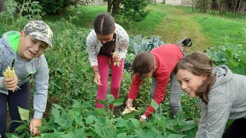 Covasna: Programul 'Micii grădinari', lansat în zona metropolitană Sepsi, va continua şi anul viitor