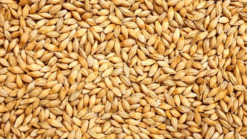 Berarii României: Agricultorii au nevoie de un sprijin cuplat de 200 de euro/ha la orzul de bere, pentru a trece de la pierdere la profit