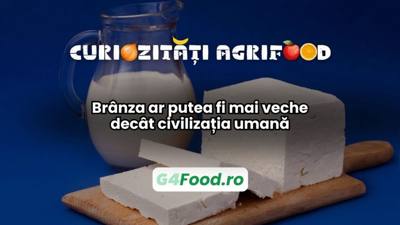 Curiozități agri-food 14 ianuarie: Brânza ar putea fi mai veche decât civilizația umană