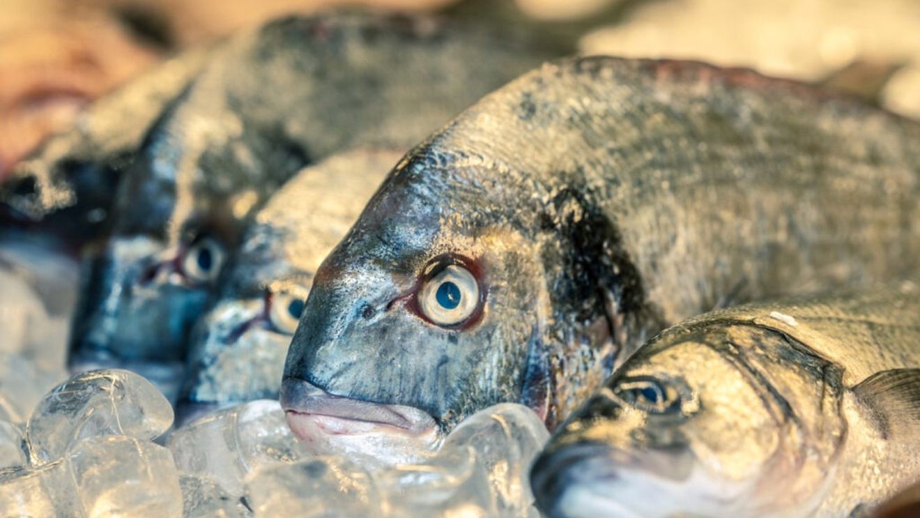 Un sfert din fauna de apă dulce este ameninţată cu dispariţia, avertizează un studiu/ 89 de specii deja au dispărut în ultimii 500 de ani, iar alte 178 se presupune că nu mai există