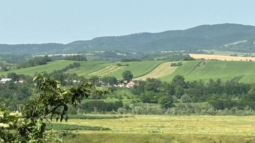 Guvernul introduce o nouă subvenție agricolă pe suprafață/ Pentru a încasa banii de la bugetul european fermierii trebuie să mențină zone neproductive pe terenurile arabile / Printre obiective: atenuarea schimbărilor climatice