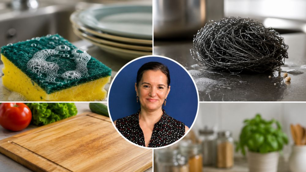Cât de curată este, de fapt, bucătăria ta? Buretele de vase, tocătorul și ustensilele care pot ascunde bacterii / Tania Fântână (nutriționist): „Nu este nevoie să transformăm bucătăria într-un laborator steril”