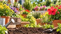 Grădinărit fără efort / Produse COMPO pentru plante, gazon și spații verzi