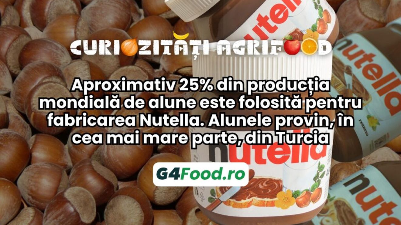 Curiozități agrifood - 2 octombrie: Aproximativ 25% din producția mondială de alune este folosită pentru fabricarea Nutella. Alunele provin, în cea mai mare parte, din Turcia