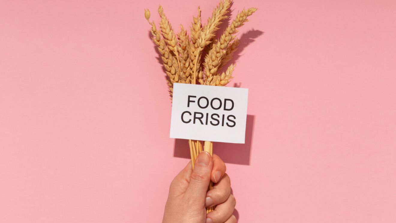 Discuții de urgență în G20 despre criza alimentară globală / Perturbările din agricultură ar putea să afecteze zeci de milioane de oameni