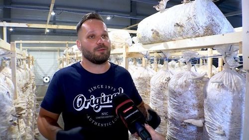 Orășeni mutați la țară. Au lăsat confortul de la oraș pentru a deschide afaceri în mediul rural