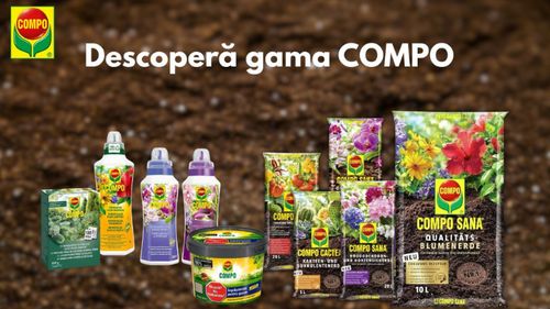 COMPO în România, prin Verdon