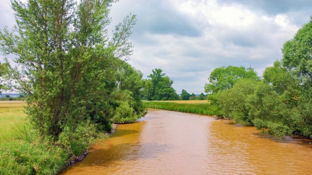 Râurile Marii Britanii, sufocate de un cocktail chimic periculos / Pesticide, antibiotice și alte substanțe chimice din apele britanice amenință ecosistemele