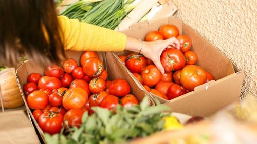 Noi măsuri de sprijin pentru legumicultorii din România: Ministerul Agriculturii asigură fondurile necesare pentru programele „Tomata”, „Usturoiul” şi „Cartoful Românesc” / Guvernul a alocat 900 de milioane de lei, în ședința de miercuri