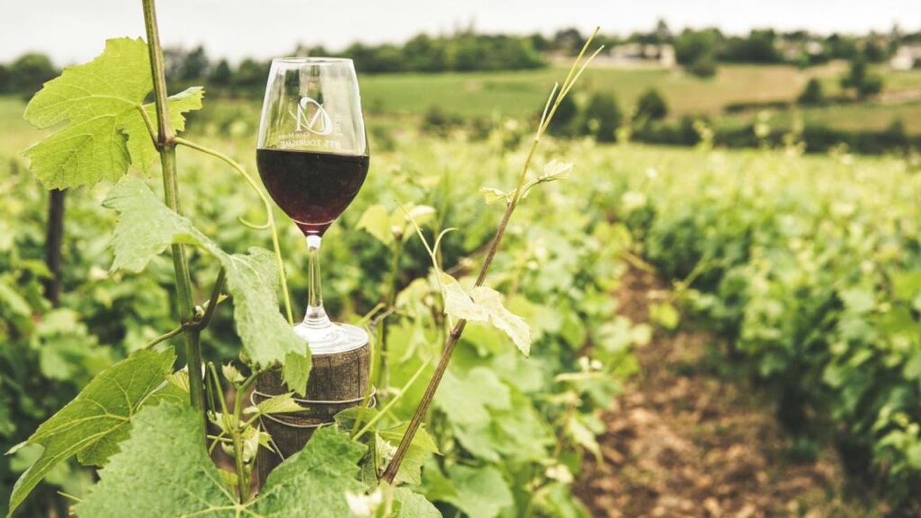 Muzeul Viei şi Vinului din Focşani, deschis publicului de Zilele Muzeului Vrancei/ Este un muzeu al istoriei şi civilizaţiei vitivinicole din zona Carpaţilor de Curbură