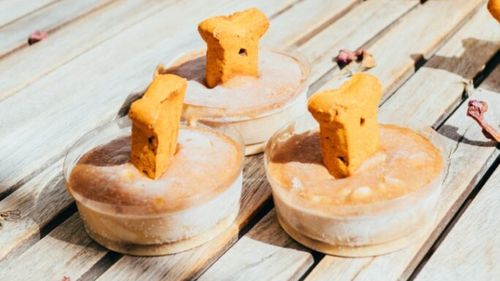 Degustător de mâncare de câini. În ce constă și cum poți practica această meserie un pic ciudată