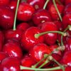 Veste bună pentru bucureșteni, primele cireșe românești sunt disponibile la vânzare/ Cât costă un kilogram la Stațiunea de Cercetare Băneasa