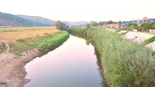 Garda de Mediu: Animalele sălbatice au curăţat râul Târnava Mică de peştii morţi din cauza sării provenită de la Salina Praid