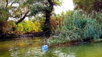 Asociația Patronatelor din Turism Delta Dunării cere decolmatarea de urgență a canalului Uzlina. Accesul spre mai multe localități turistice este îngreunat
