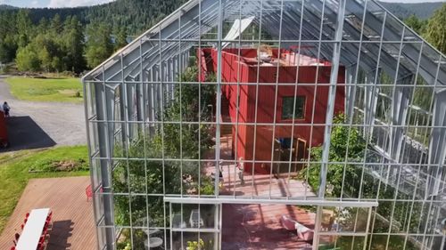 VIDEO | Au construit o casă în interiorul unei sere uriașe. Cum trăiește o familie din Norvegia înconjurată de fructe și legume: „Putem vedea și stelele prin tavanul de sticlă”