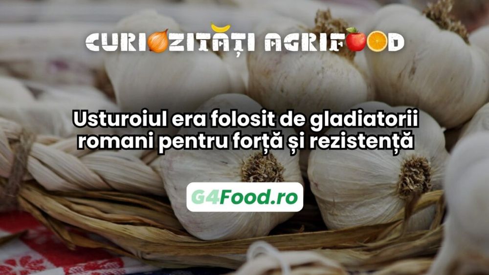 Curiozități agri-food 13 februarie: Usturoiul era folosit de gladiatorii romani pentru forță și rezistență