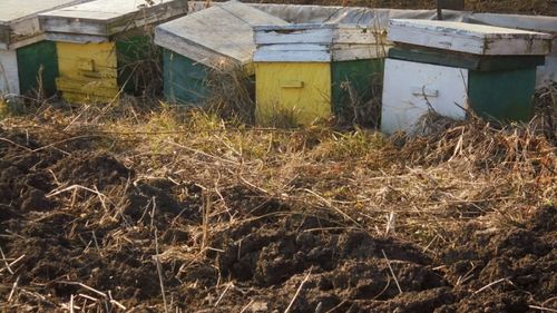 Stupina-fantomă sau cum a ajuns Laurențiu Rebega europarlamentar în legislatura trecută