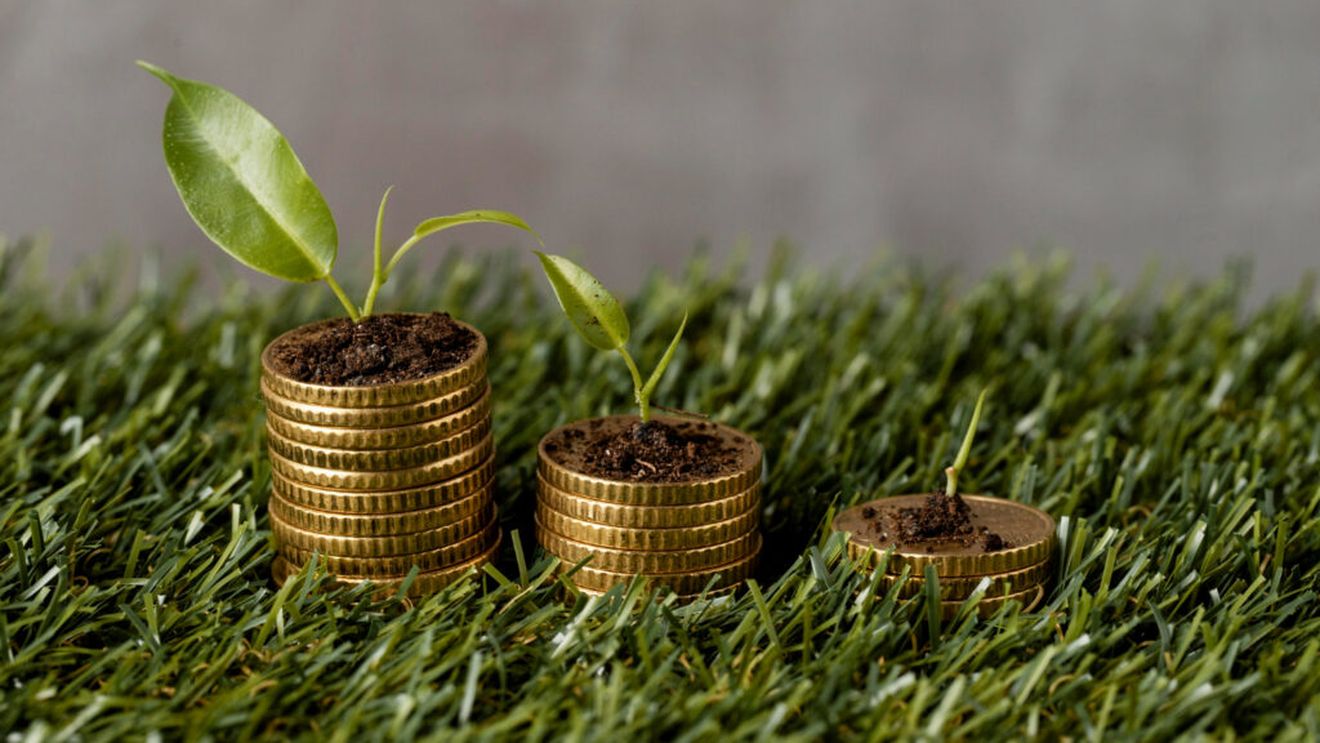 Eurostat: Grecia, România şi Spania, ţările UE cu cea mai mare pondere a agriculturii în PIB