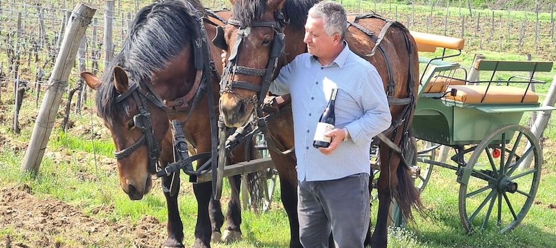 Roberto Pieroni a investit într-o vie din Delta Dunării/ Azi a ajuns să exporte vinul ”La Sapata” în SUA, Elveția și Japonia