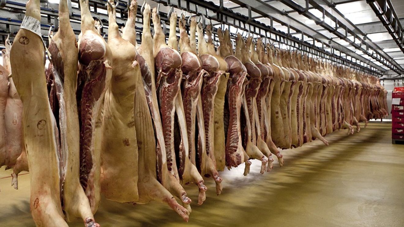 Producția de carne și lactate nu poluează atât de rău pe cât se crede/ Mai multe studii indică faptul că impactul asupra mediului este în realitate la jumătate față de estimările actuale/ O nouă perspectivă asupra sustenabilității