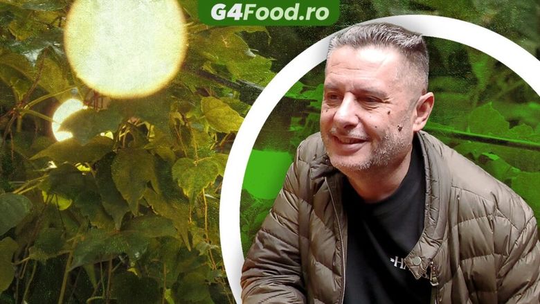VIDEO | „Adoptă o oaie și primești produse de la ea”. Ideea neobișnuită a platformei Hambar / Alin Șerban: „O să ai oaia ta și în fiecare lună să primești un kilogram sau două de lapte, brânză”