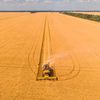 Un gigant agricol cu sute de mii de hectare a fost naționalizat în Rusia, pe fondul presiunilor tot mai mari asupra mediului de afaceri / Proprietarul este în arest
