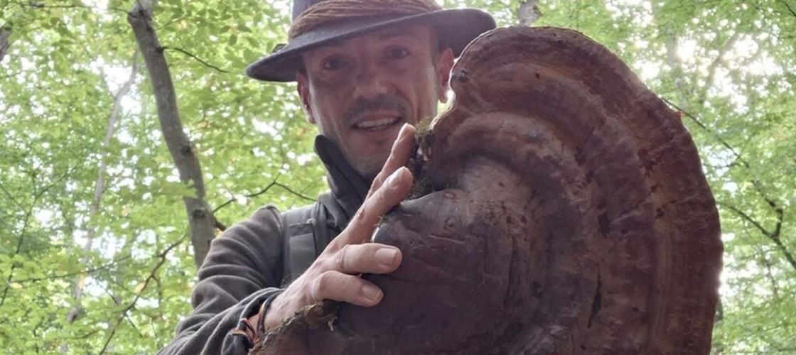 FOTO | Tai ciuperca sau o scoți întreagă din pământ? / Cum se culeg și se păstrează corect ciupercile de pădure / Florin Bustan explică de ce coșul de nuiele este cea mai bună alegere