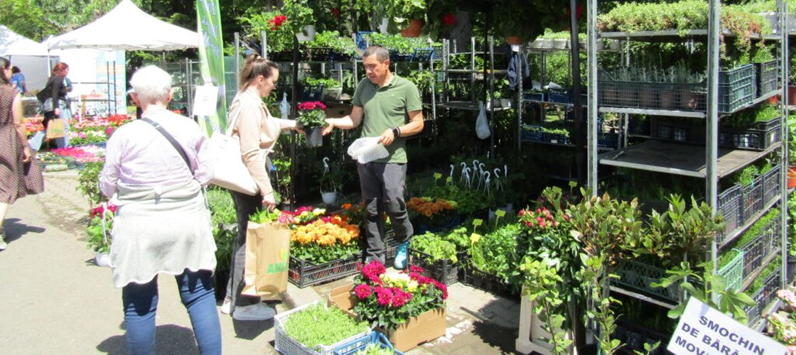 Zilele Horticulturii Bucureștene la USAMVB, sub semnul bujorului
