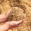 Atacurile Rusiei reduc capacitatea de export a cerealelor Ucrainei / Fermierii avertizează asupra riscurilor pentru piața mondială