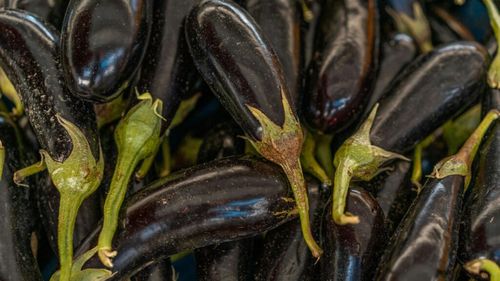 Vânăta: Leguma care poate îmbunătăți funcția inimii și ar putea avea efecte benefice în tratarea cancerului / Conține fibre și polifenoli, care ar putea ajuta la reglarea nivelului de zahăr din sânge