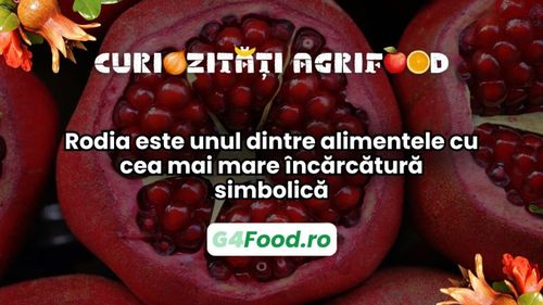 Curiozități agrifood - 25 februarie: Rodia este unul dintre alimentele cu cea mai mare încărcătură simbolică