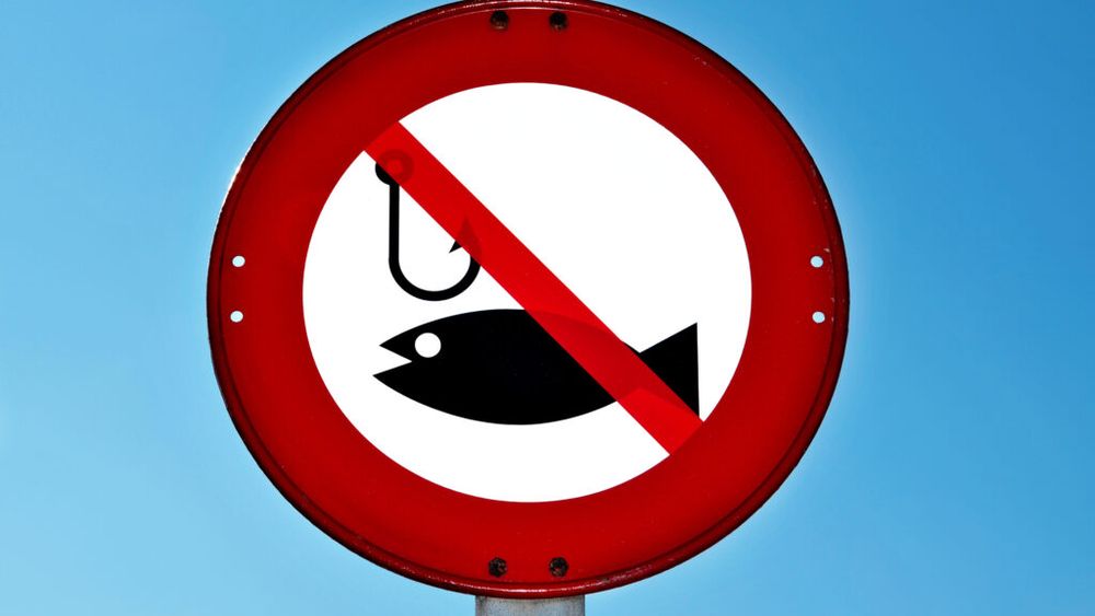 Prohibiția pescuitului începe pe 9 aprilie în România / Autoritățile impun restricții pentru refacerea resurselor acvatice