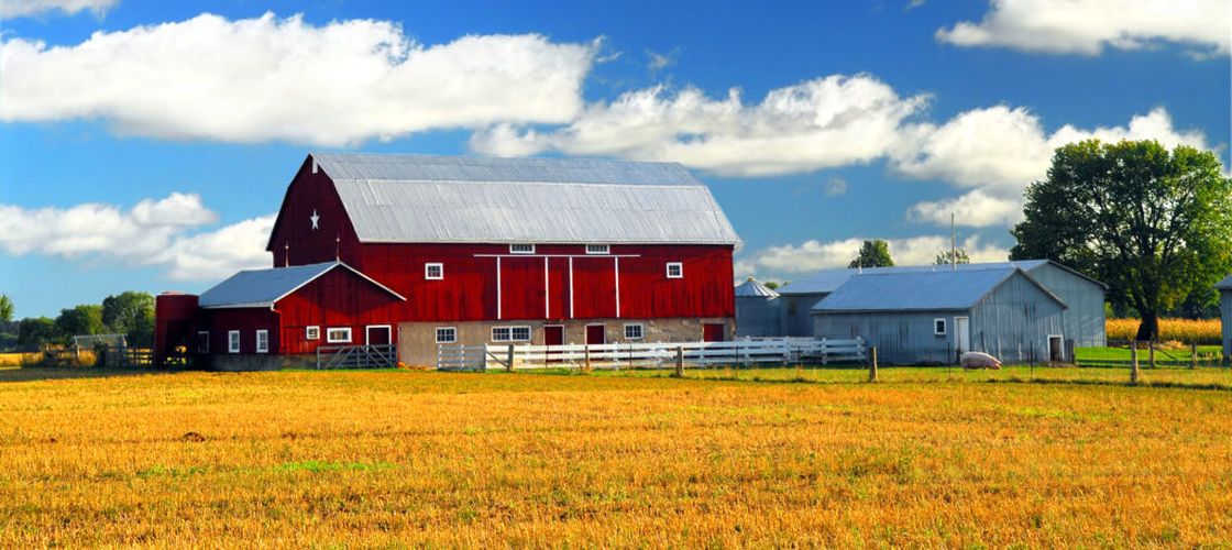 Fermierii pot cere demolarea locuințelor construite în perimetrele exploatațiilor agricole / Proiectul adoptat de Senat ajunge la Camera Deputaților