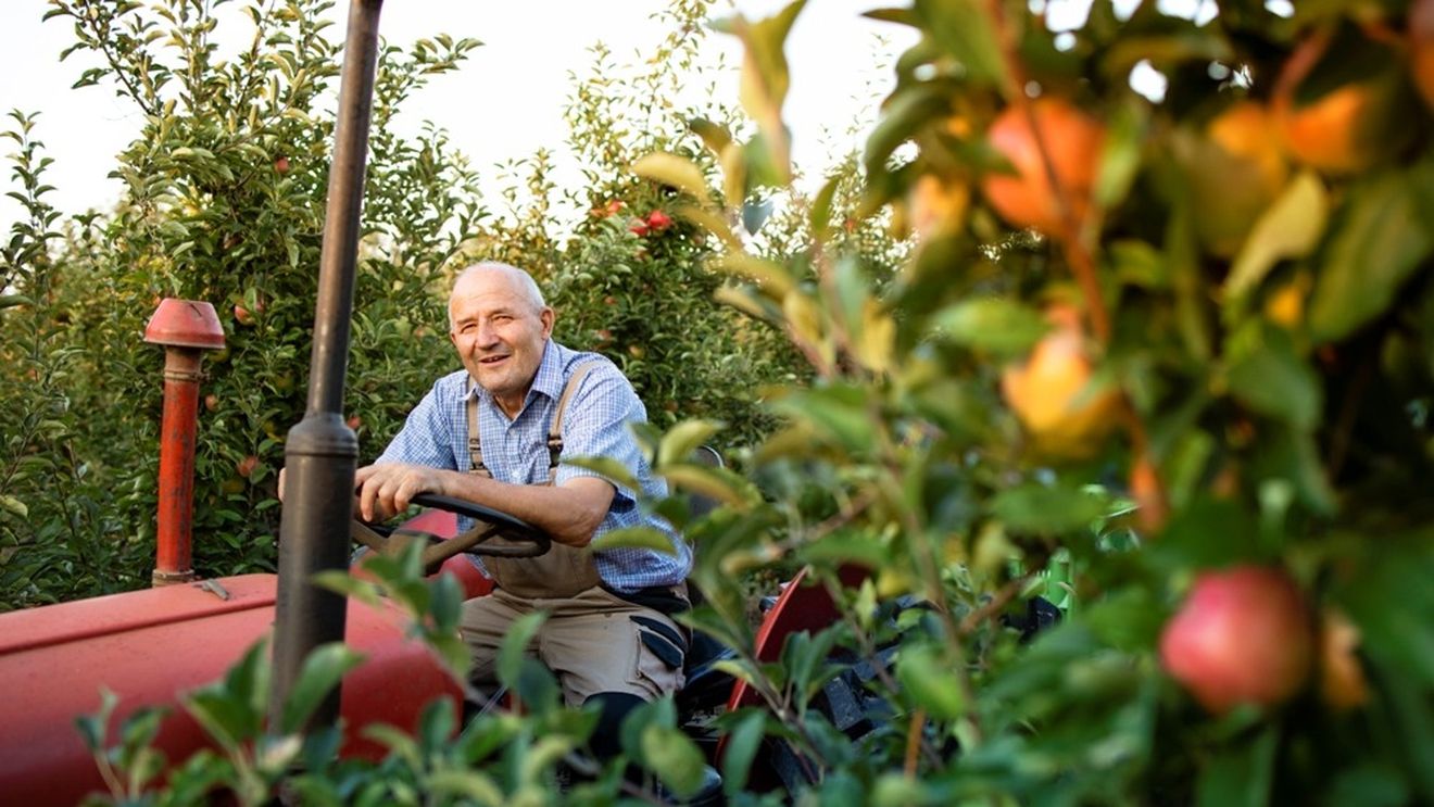 Grădinăritul te poate ajuta să trăiești mai mult și să fii mai sănătos. În unele state din Europa, activitățile în grădini și ferme de animale încep să devină parte din terapia pentru persoanele cu probleme cognitive