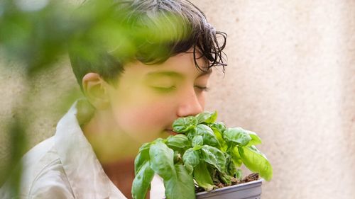 Cum să ai busuioc proaspăt toată vara / 14 sfaturi pentru o recoltă generoasă