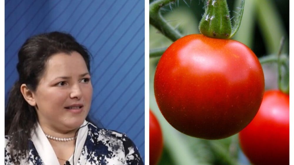 VIDEO | Luciana Stan, legumicultor: „Am testat 11 soiuri românești de roșii și am ales câteva rezistente la dăunători. Nu se compară, ca producție, cu hibrizii cunoscuți, dar gustul este net superior”