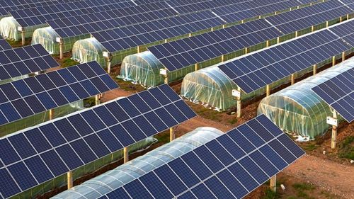 Fermele viitorului: produc hrană și curent electric pe același teren / Dr.ing. Dragoș Ofrim: „Agricultura e domeniul cel mai recomandat pentru energie solară” / Cum funcționează conceptul de „agrivoltaics”