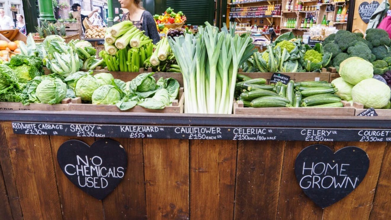 Regatul Unit suspendă noile controale post-Brexit asupra produselor agroalimentare în așteptarea unui acord cu UE