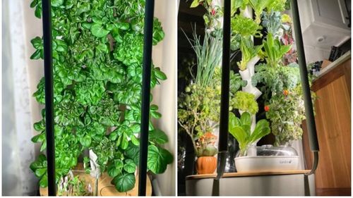 VIDEO | Sistemul de cultivare verticală în interior pe care să-l pui în bucătărie. Poate include 30 de tipuri de plante în același timp