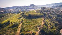 O excursie printre vii și spumante: Oltrepò Pavese, destinația italiană pe care nu știai că trebuie s-o pui pe hartă (GALERIE FOTO)