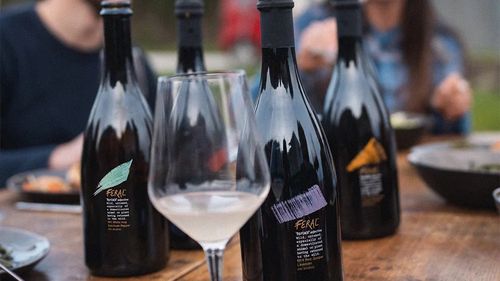 Feral, o nouă băutură fermentată fără alcool, din sfeclă de zahăr, în patru variante de gust, creată în Italia