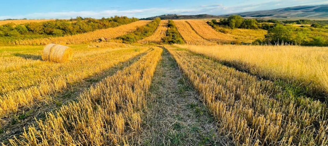 Țara care va oferi terenuri pentru activități agricole tinerilor, femeilor și celor care doresc să intre în rândul fermierilor