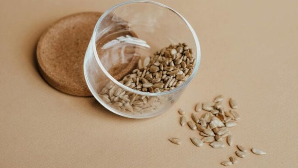 „Seiful apocalipsei”, locul unde se află rezerva mondială de seminţe a lumii, se redeschide în luna iunie: Cercetătorii vor depune noi mostre de semințe care provin din 12 țări