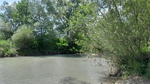 Nivelul de salinitate în râurile Târnava Mică şi Mureş înregistrează o scădere vizibilă, dar continuă să fie variabil / Este în limita de potabilizare la ieşirea râului Mureş din ţară 