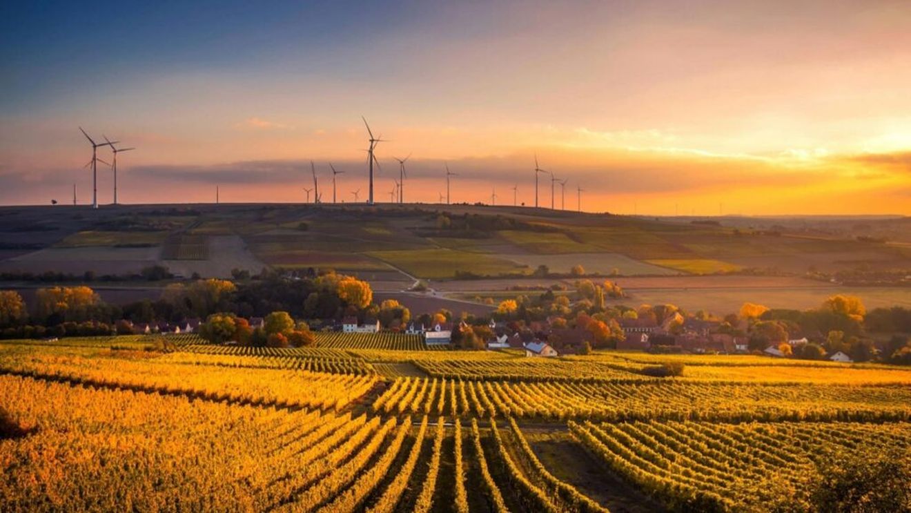 Comisia Europeană, dată în judecată de două ONG-uri ecologiste/Acestea acuză forul european că este prea permisiv cu statele membre în ce privește atingerea obiectivelor climatice, mai ales în sectorul agricol