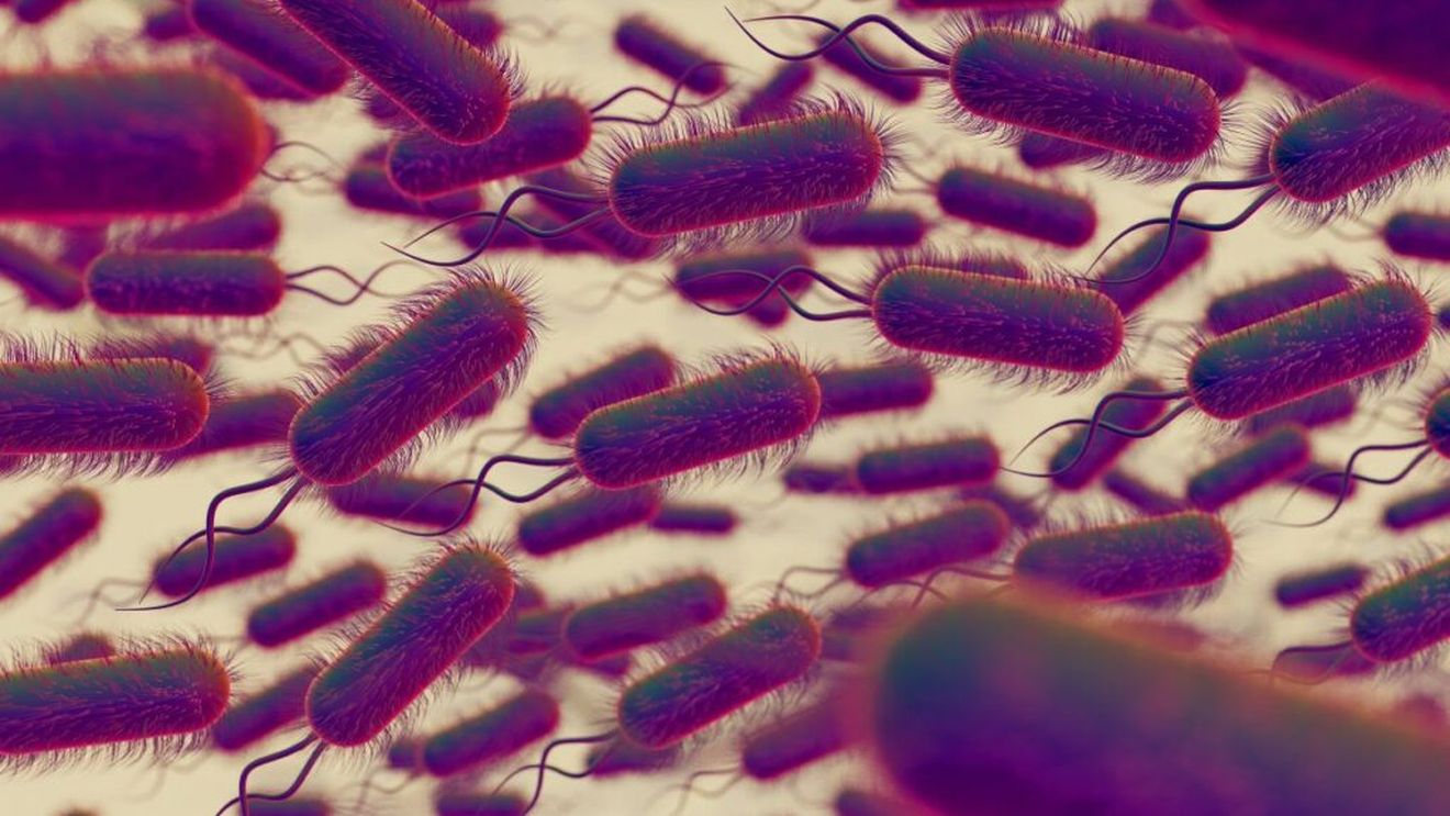 Pesticidele, inclusiv cele legale, alterează profund echilibrul florei intestinale, cu consecințe asupra sănătății încă insuficient înțelese, arată un nou studiu